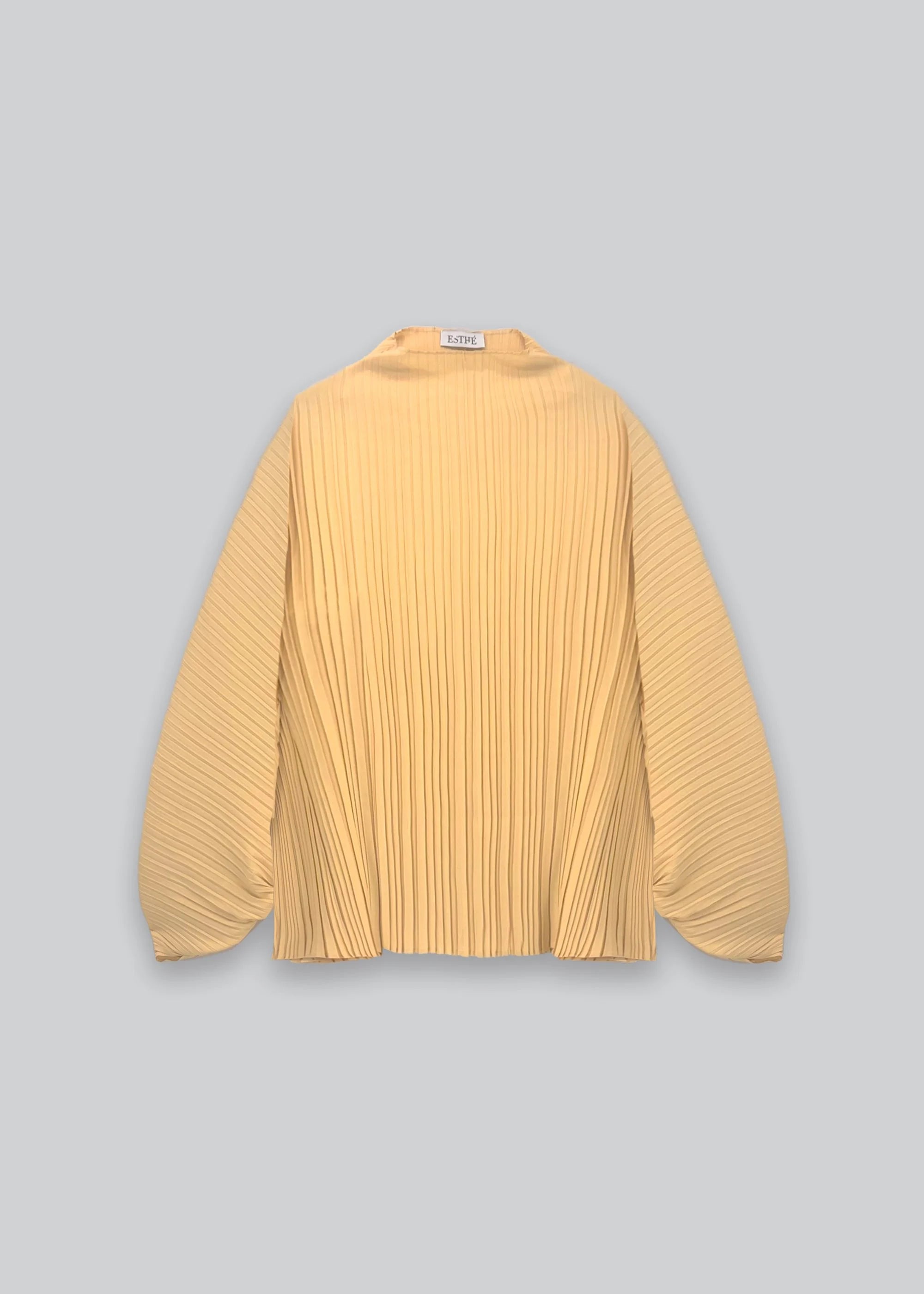 top Sculpted Pleated High Neck Top