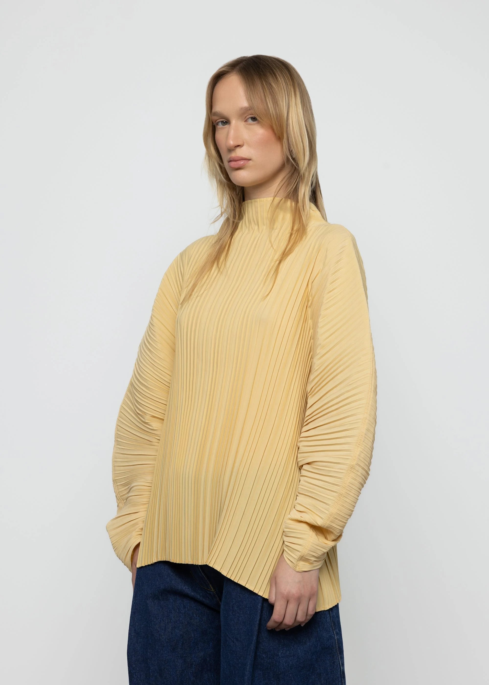 top Sculpted Pleated High Neck Top