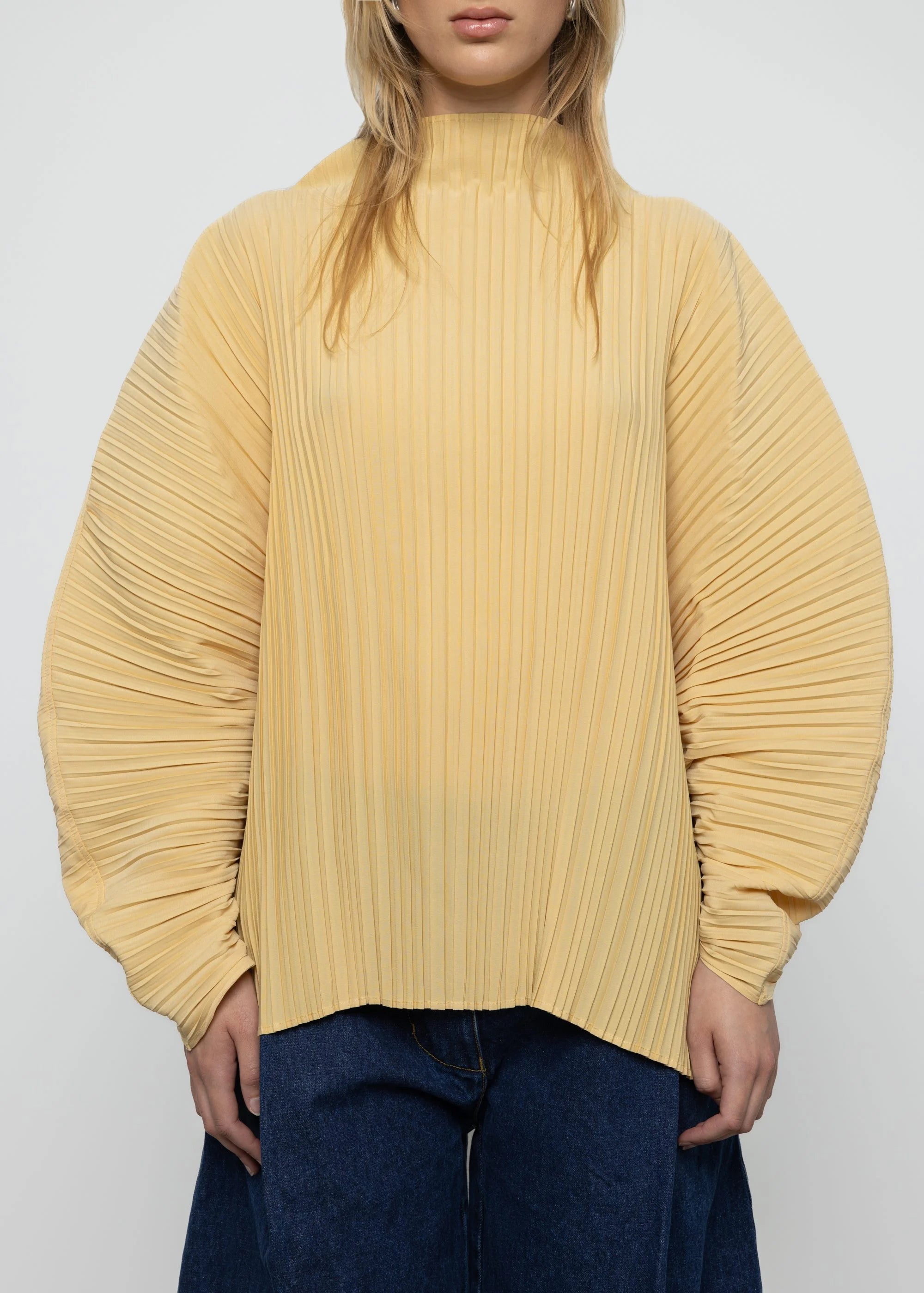top Sculpted Pleated High Neck Top