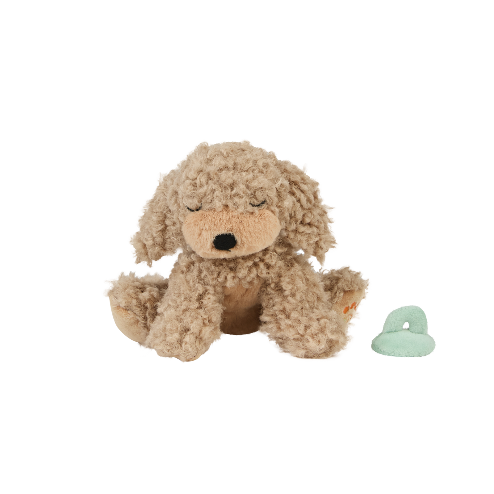 puppy Benny - gold